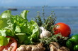 ingredients pour salade ingredients pour salade