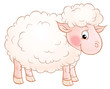 white sheep