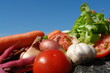 legumes en vrac legumes en vrac