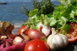 legumes en vrac sur fond lagon legumes en vrac sur fond lagon