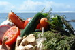 legumes tropical legumes tropical