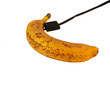 banana energetica banana energetica