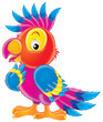 parrot
