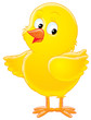 yellow chicken