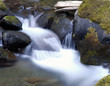 flowing creek