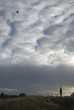 flying a kite