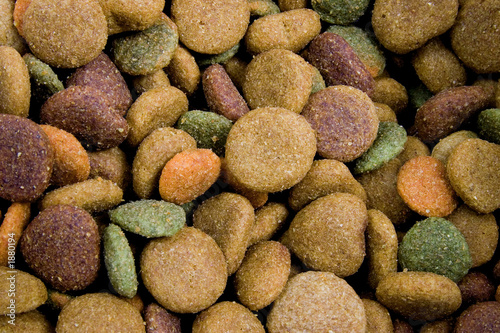 Foto: food for dog food for dog