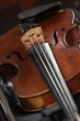 musical instrument