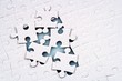 jigsaw puzzle