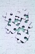 jigsaw puzzle