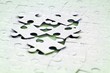 jigsaw puzzle