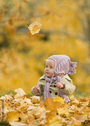 Photo: baby in autumn leaves baby in autumn leaves