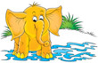 elephant