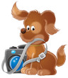 puppy photographer