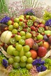 corbeille de fruit corbeille de fruit