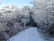 path in the snow