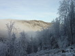 misty morning