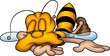 little bee 15
