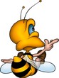 little bee 17 little bee 17