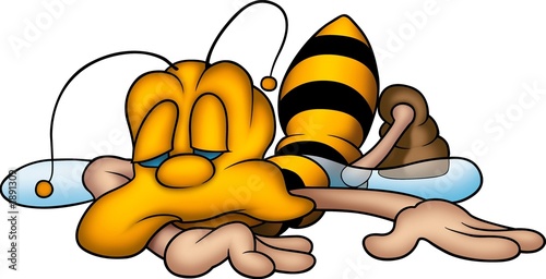 little bee 15 little bee 15