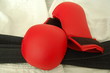 sports combats
