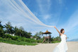 beach wedding
