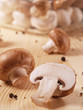 champignons 1