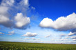 paysage