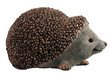  hedgehog