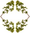 floral arrangement 4
