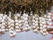 tresses en ail