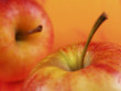 rote äpfel aus dem alten land 2