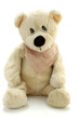 teddy