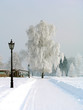 russian winter russian winter