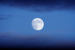 vollmond vollmond
