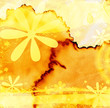 floral grunge