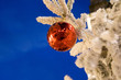 boule de noel