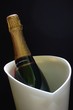 champagne bottle champagne bottle