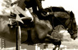 Image : equestrian jumping & action (sepia tone)