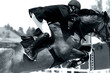 equestrian jumping & action (black & white)