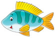 crucian carp