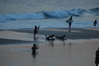 Foto: rio 47 rio 47