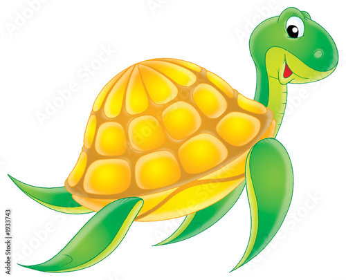 sea turtle
