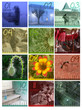 calendrier photos