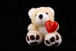bear with heart