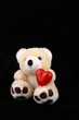 bear with heart