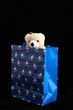 bear in christmas bag