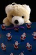 bear in christmas bag
