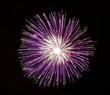 feuerwerk lila 1