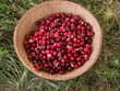cerezas